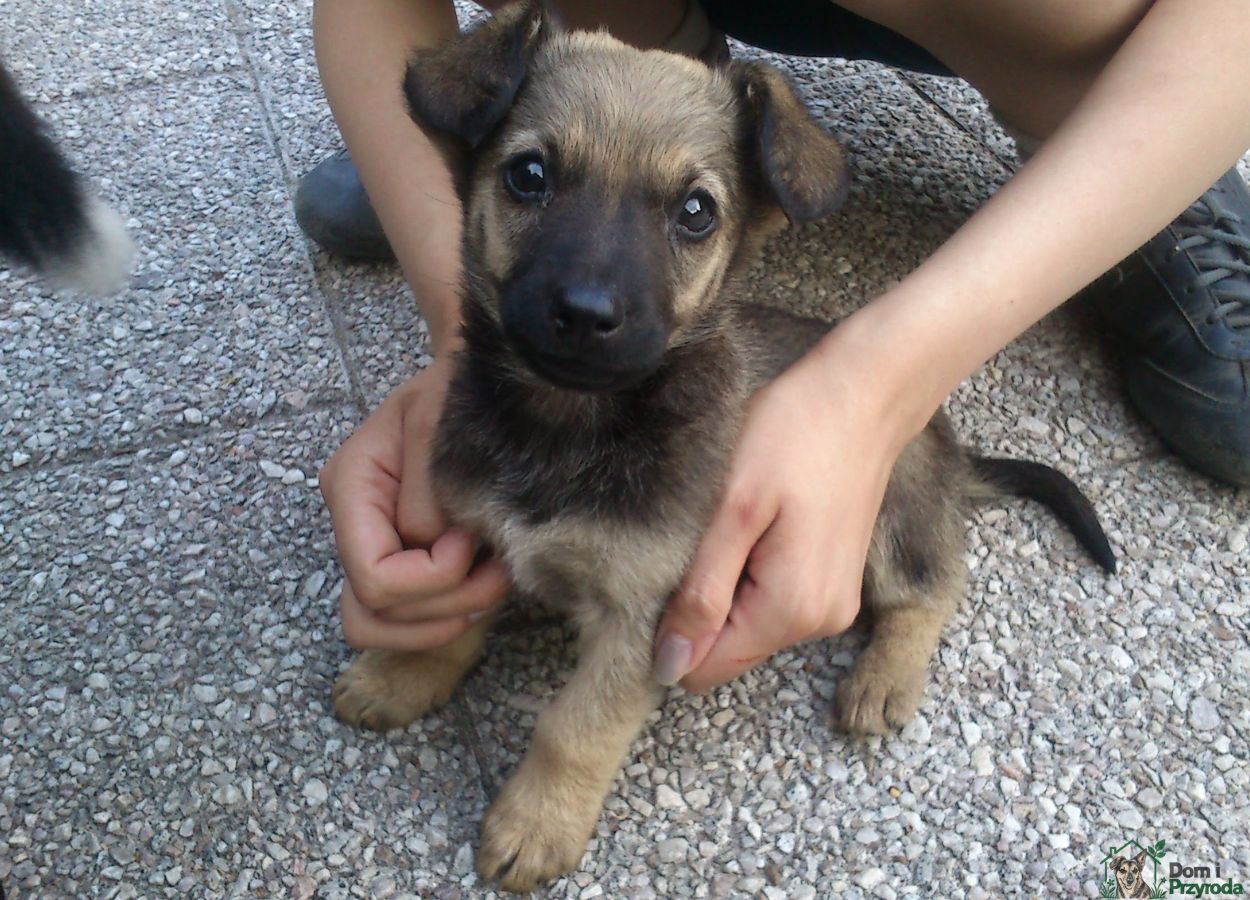 Gryzia w parku
