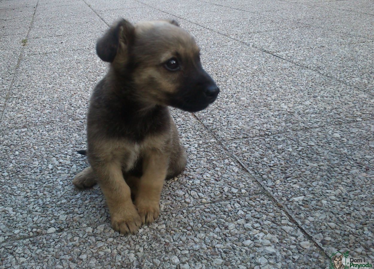 Gryzia w parku