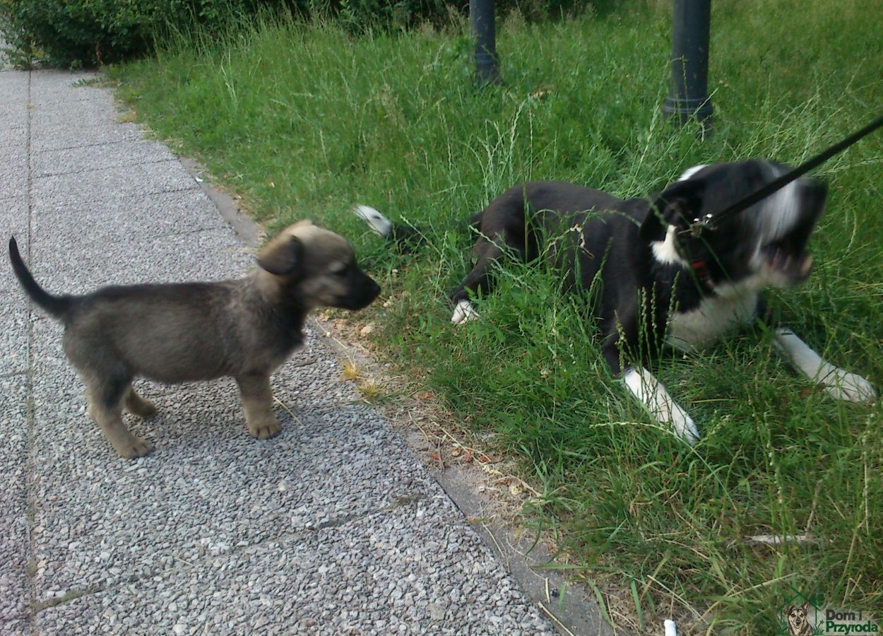 Gryzia w parku z Rickim