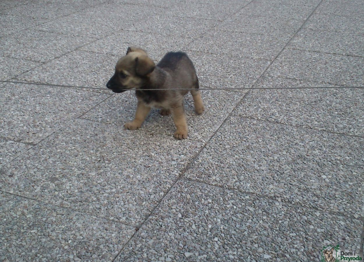 Gryzia w parku