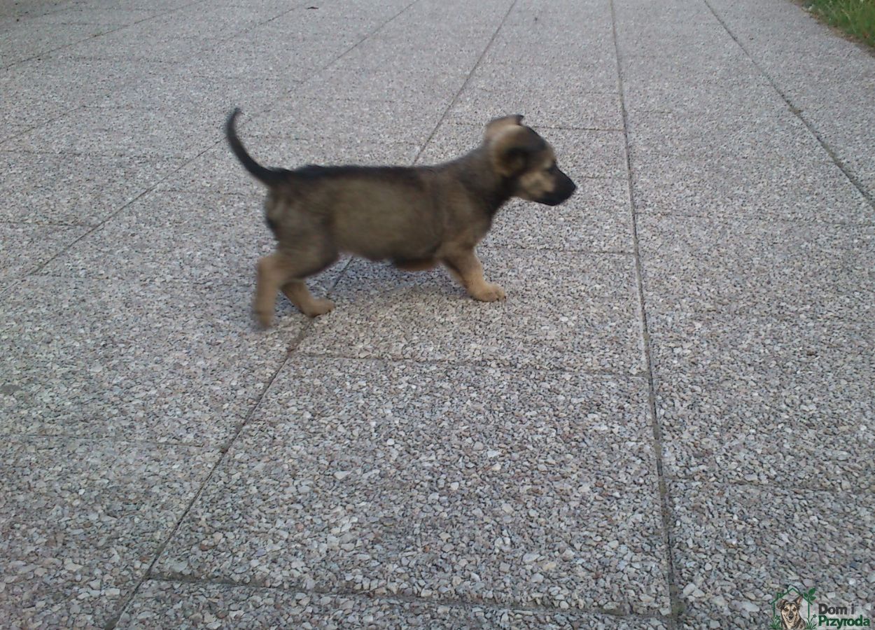 Gryzia w parku