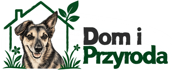 Logo strony